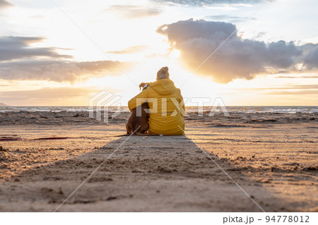 a german boxer dog sitting on the seashore during sunset with owner blonde girl team partner friend sweden melbystrand 94778012