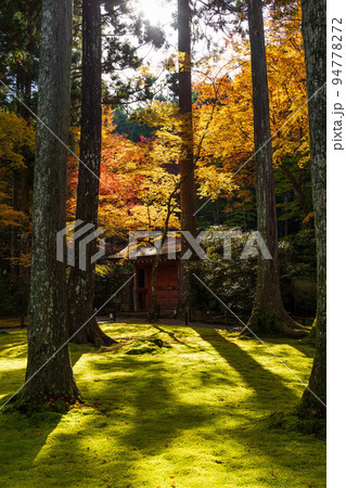 京都大原の秋　紅葉の三千院　朱雀門 94778272