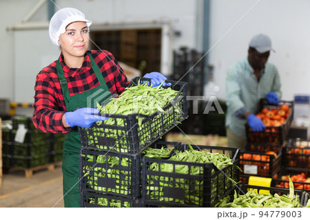 Portrait of woman working on sorting line at vegetable warehouse, stacking boxes with selected beans closeup Portrait of woman working on sorting line at vegetable warehouse, stacking boxes with selected beans closeup 94779003