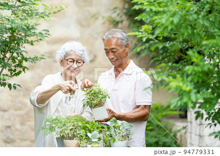 ガーデニングをするシニア夫婦 94779331