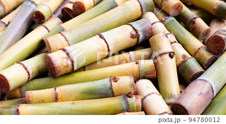 Cut sugar cane for planting 94780012