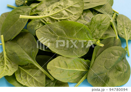 Spinach leaves on blue background. 94780094