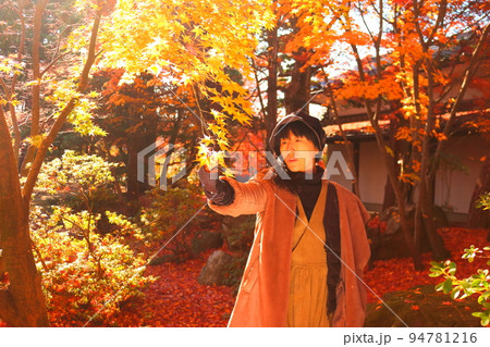 紅葉を見上げる女性 紅葉を見上げる女性 94781216