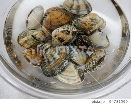 アサリの砂抜き アサリの砂抜き 94781599