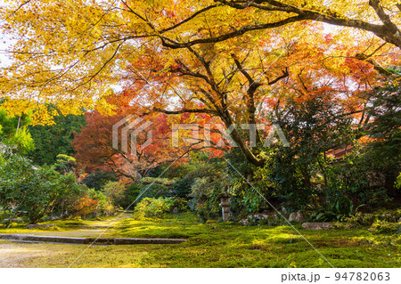 京都大原の秋 紅葉の実光院 旧理覚院庭園 京都大原の秋 紅葉の実光院 旧理覚院庭園 94782063