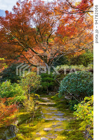 京都大原の秋 紅葉の実光院 旧理覚院庭園 京都大原の秋 紅葉の実光院 旧理覚院庭園 94782066