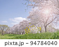 桜並木 94784040