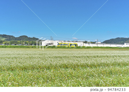 ソバ畑行くLRV 94784233