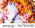 色づいた2色モミジと空　紅葉モミジの背景素材　秋イメージ　昼カラー 94784589