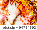 色づいた2色モミジと空　紅葉モミジの背景素材　秋イメージ　夕カラーくっきり 94784592