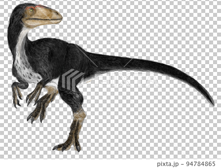 早期地龍霸王龍 早期地龍霸王龍 94784865