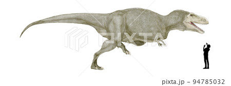 メラクセスギガス、カルカロドントサウルス科の新発見 94785032