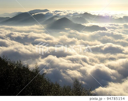 阿里山 南投 玉山 94785154