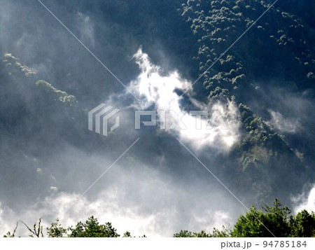 阿里山 南投 玉山 94785184