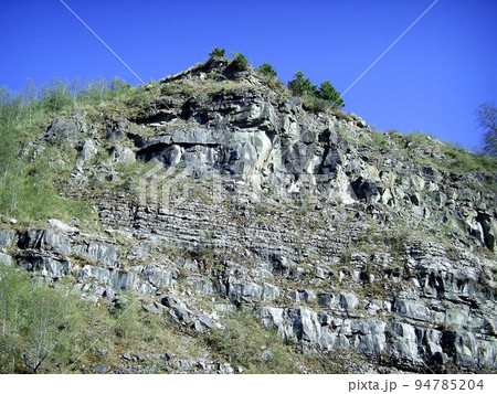 阿里山 南投 玉山 94785204