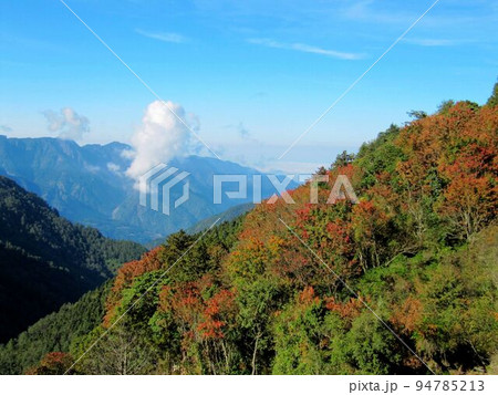 阿里山 南投 玉山 94785213