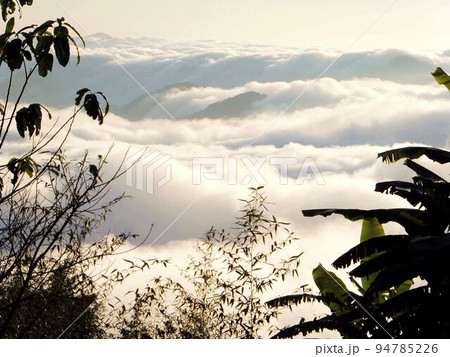 阿里山 南投 玉山 94785226