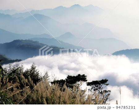 阿里山 南投 玉山 94785231