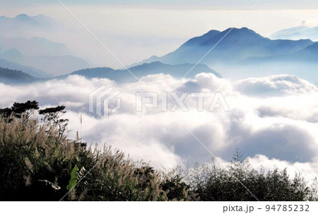 阿里山 南投 玉山 94785232
