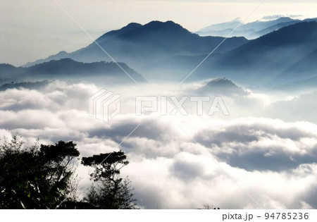 阿里山 南投 玉山 94785236