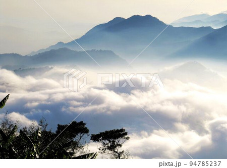 阿里山 南投 玉山 94785237