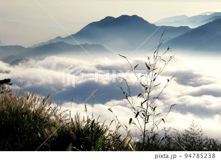 阿里山 南投 玉山 94785238