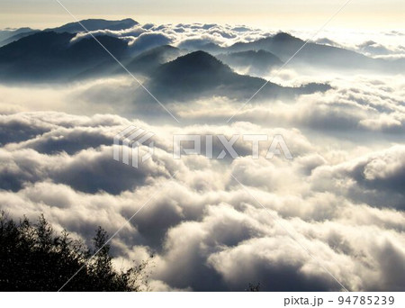 阿里山 南投 玉山 94785239