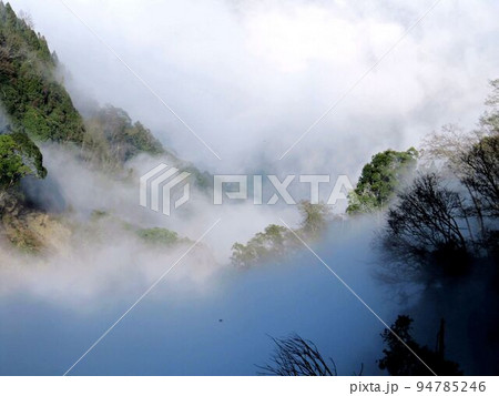 阿里山 南投 玉山 94785246