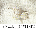 赤ちゃんの人形 94785458