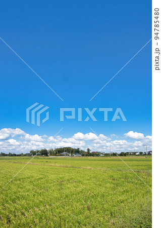 長生村の秋の風景 長生村の秋の風景 94785480
