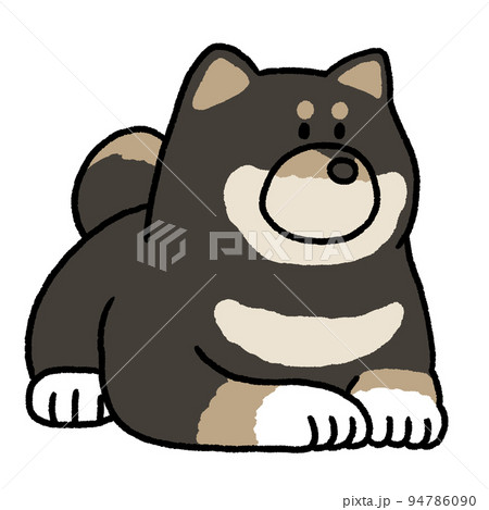 シバイヌ シバイヌ 94786090