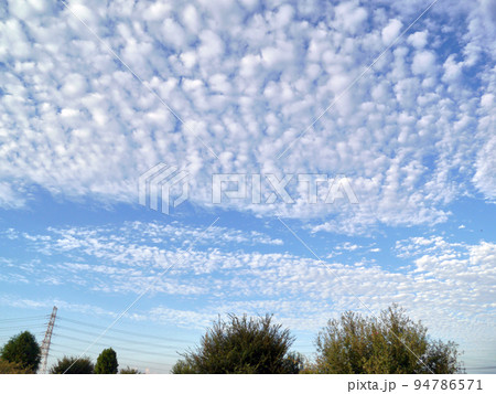 木々と鉄塔とうろこ雲の秋空 94786571