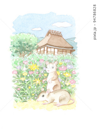 水彩画：小動物 94786828