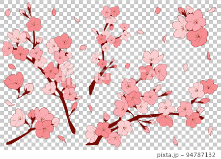 桜の花のイラストセット 94787132