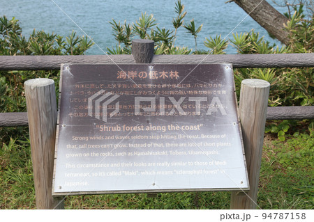 安乗崎灯台　安乗崎　安乗　安乗　伊勢　伊勢志摩　的矢湾　菅崎園地　太平洋　伊勢の海　あのり　安乗港線 94787158