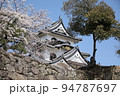 桜と国宝彦根城 94787697