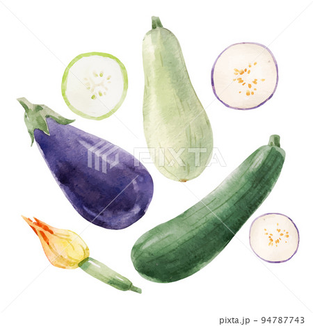 Beautiful vector stock clip art illustration with hand drawn watercolor tasty eggplant zucchini and marrow vegetable. Healthy vegan food. Beautiful vector stock clip art illustration with hand drawn watercolor tasty eggplant zucchini and marrow vegetable. Healthy vegan food. 94787743