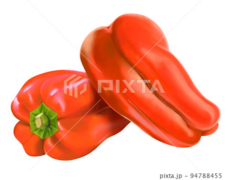 赤ピーマンのリアルなテイストの手描きイラスト　新鮮　美味しそう　ツヤツヤ 94788455
