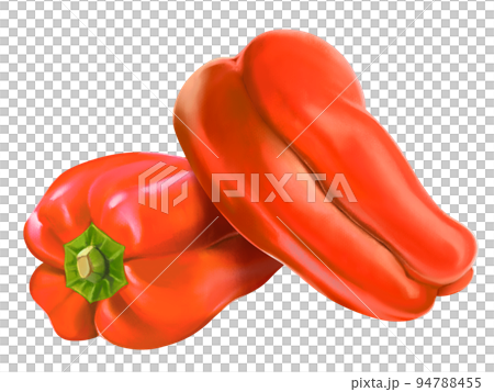 赤ピーマンのリアルなテイストの手描きイラスト　新鮮　美味しそう　ツヤツヤ 94788455