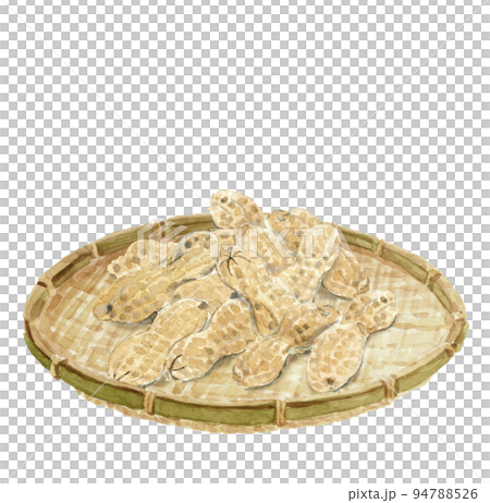 水彩畫的濾鍋中的花生插圖白背透明背景 94788526