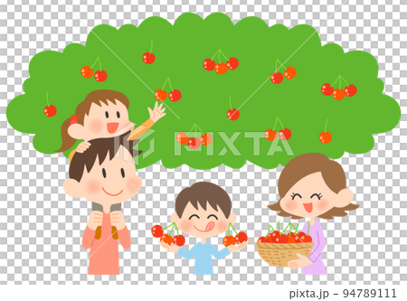 さくらんぼ狩りを楽しむ家族連れ 94789111
