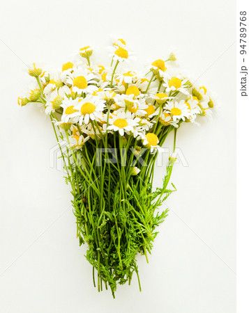 Chamomile flowers on wood 94789768