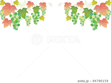 シャインマスカットのぶどうフレーム 94790159