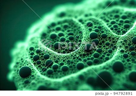 Bacteria or germs microorganism cells under microscope. Multiplication of infection microorganism. Scientific experience. Biology and medicine science concept. Green background Bacteria or germs microorganism cells under microscope. Multiplication of infection microorganism. Scientific experience. Biology and medicine science concept. Green background 94792891