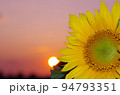 双子の樹 94793351