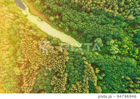 Aerial View Green Forest Woods And Small Marsh, Bog, Swamp Pond Landscape In Summer Sunny Day. Top View Of Beautiful European Nature From High Attitude In Summer Season. Nature Pollution Concept 94796946