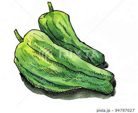 greenpepper22930pix7 greenpepper22930pix7 94797027