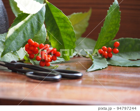 千両を生ける 千両を生ける 94797244