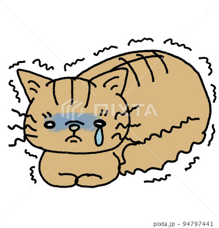 crying cat cartoon