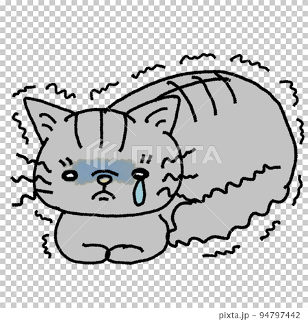 害怕的貓，害怕的貓，哭泣的貓 94797442